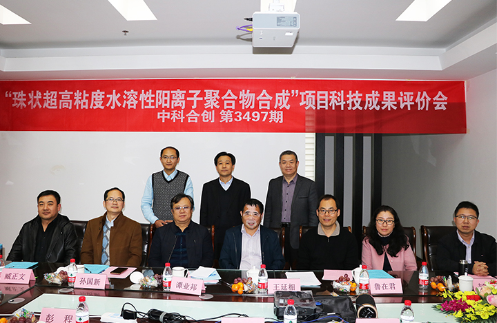 珠状水溶性阳离子聚合物制备技术及产业化 anli.jpg